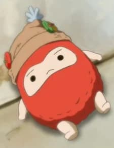 Daru