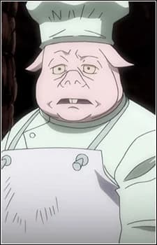 Pig