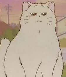 Botan