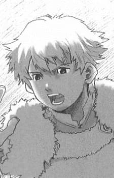 Nibel, Felt