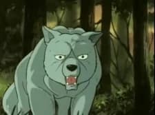 Hayato