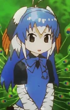 Kujaku