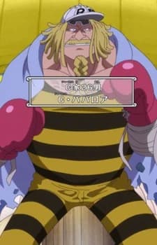 Charlotte, Bavarois
