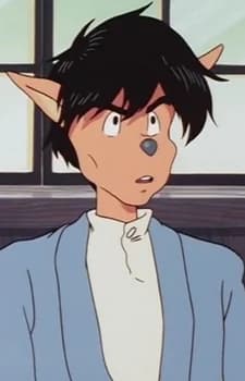 Natsume, Kinnosuke