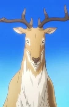 Oraha