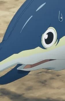Amaru, Zan