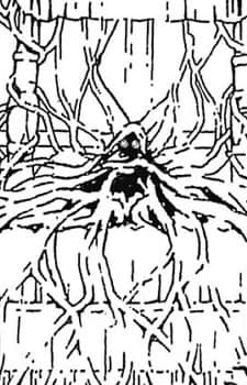 Vallor, Yukiko