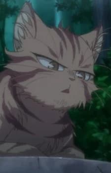 Tora-neesan