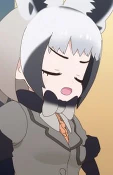 Bat-Eared Fox