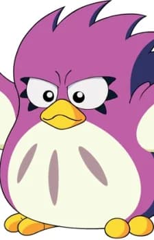 Coo