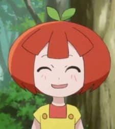 Tomato