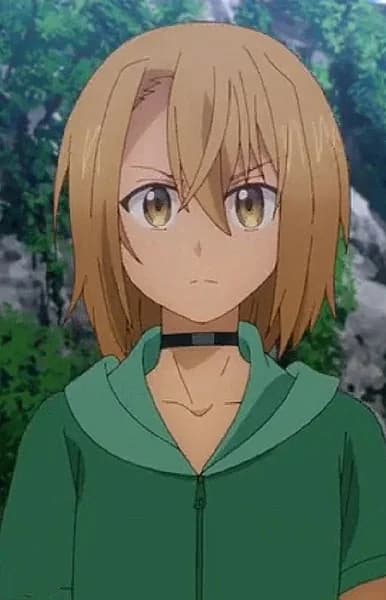 Taiga, Touma