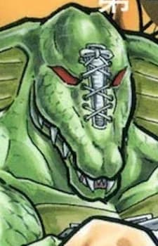 Sneagator