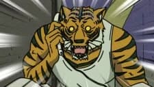 Tiger, Armour