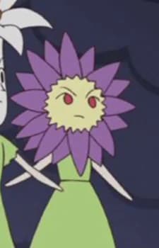 Anemone-san