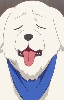 Chibi