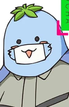 Pocha