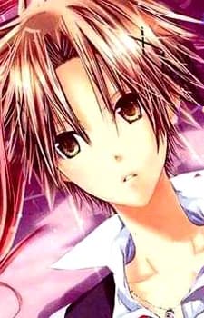 Mikami, Teru