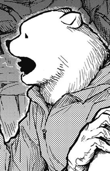 Bearman, Hachi