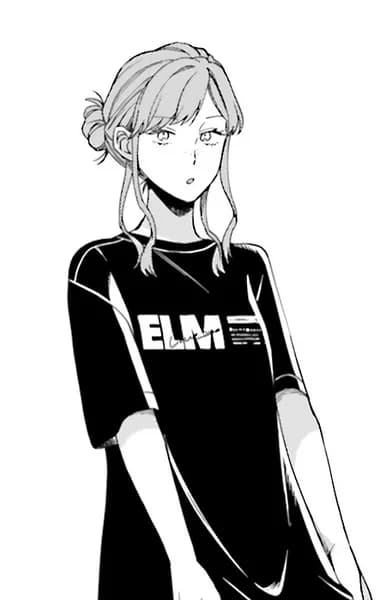 Hatomori, Hato