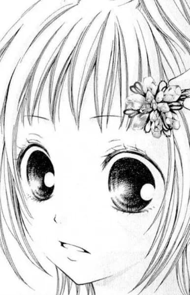 Motomiya, Aoi