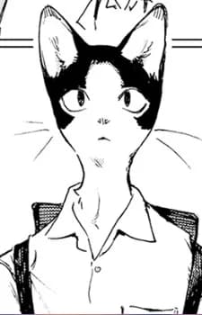 Hachi