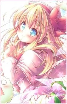 White, Lily