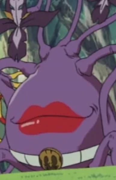 Oldest Weed Sister
