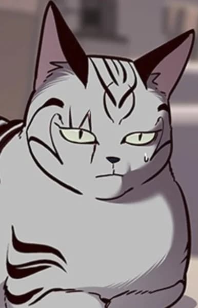 Awakened Cat