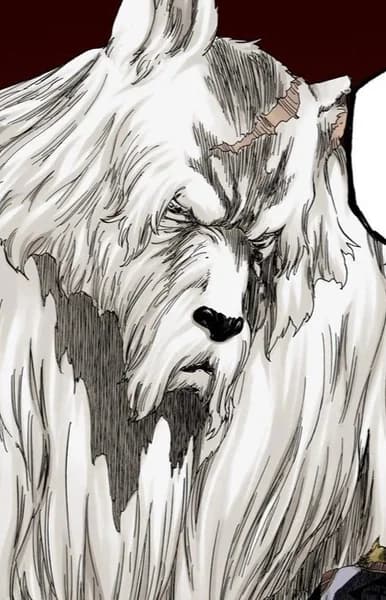 Wolfman Clan Elder