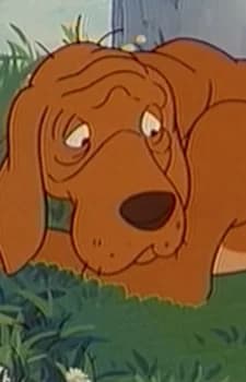 Dog (Bremen)