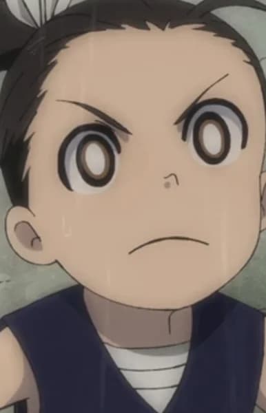 "Master of the Lion's Fist" Protagonist