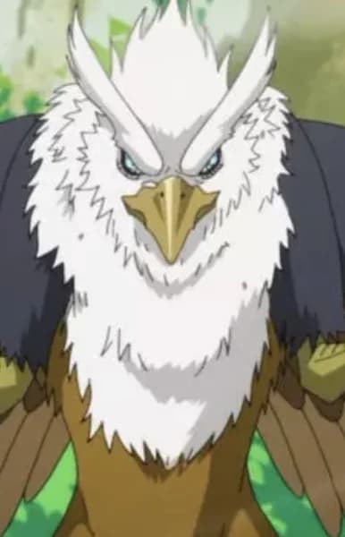 Griffon