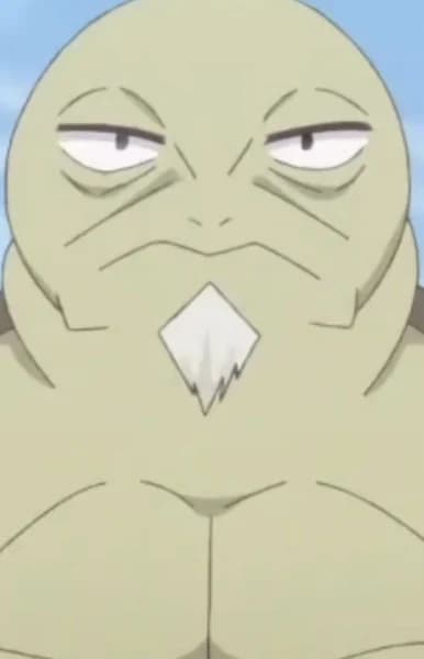 Turtle