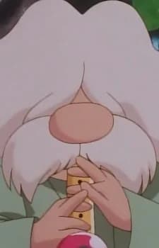 Pokémon Flute Player