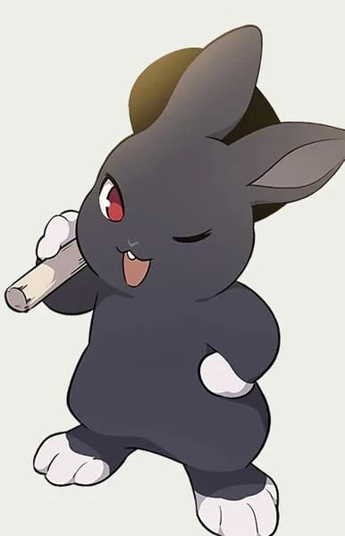 Black Bunny