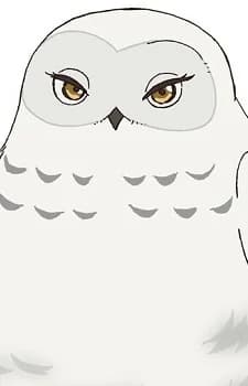 Shirofukurou