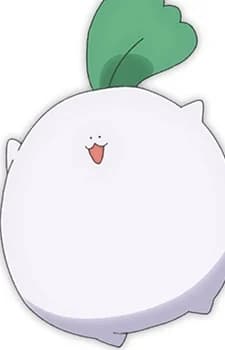 Marshmallow