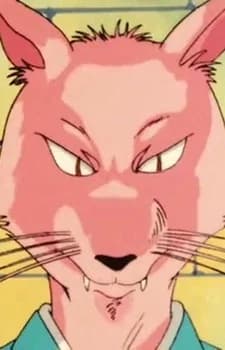 Kuuko