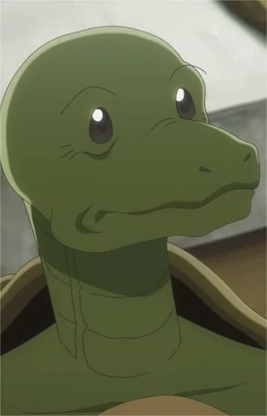 Turtle Merchant