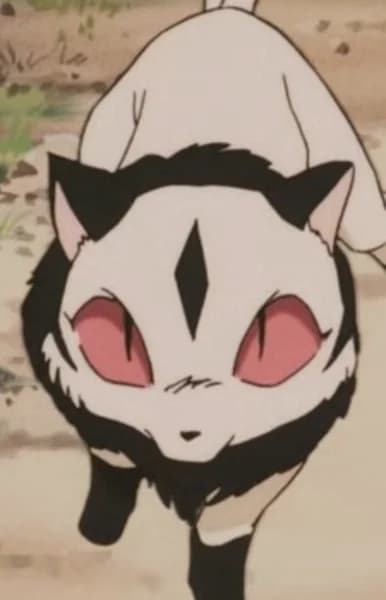 Kuroro