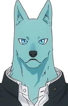Hidaka, Tsunagu