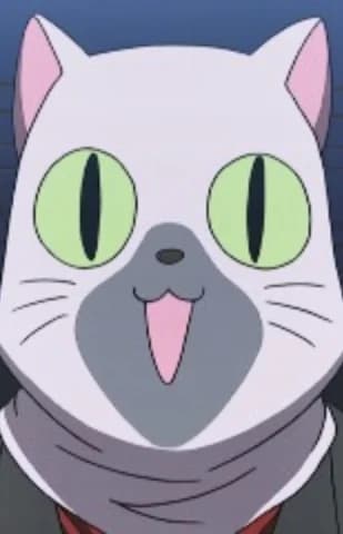 Siamese Cat
