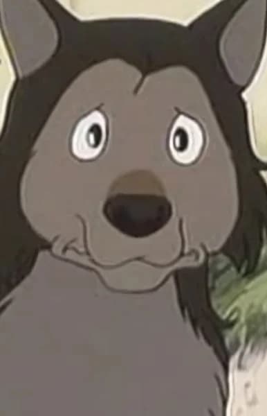 Sura