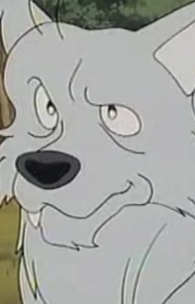 Fergus