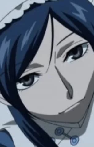 Hitachiin Maid