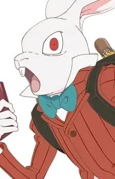 White Rabbit