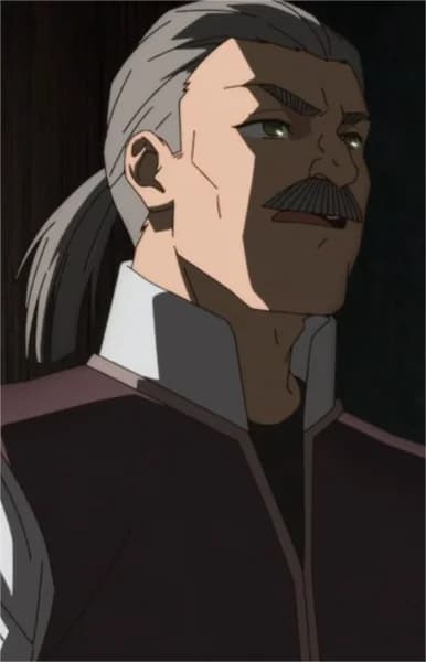 Town Dojo Master