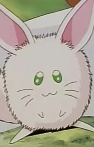 Rurupapa