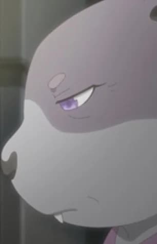 Sakura's Mother